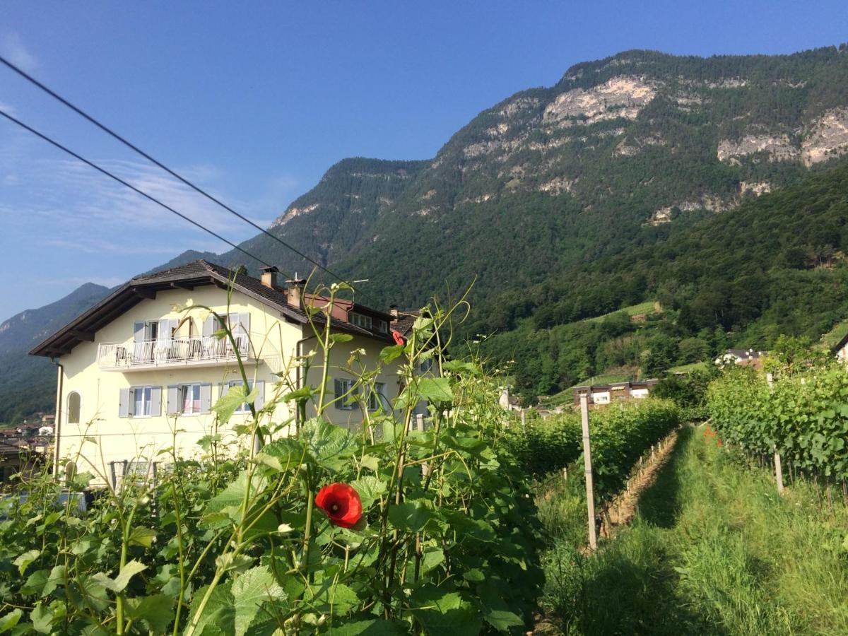 Strengen Guesthouse Caldaro Εξωτερικό φωτογραφία