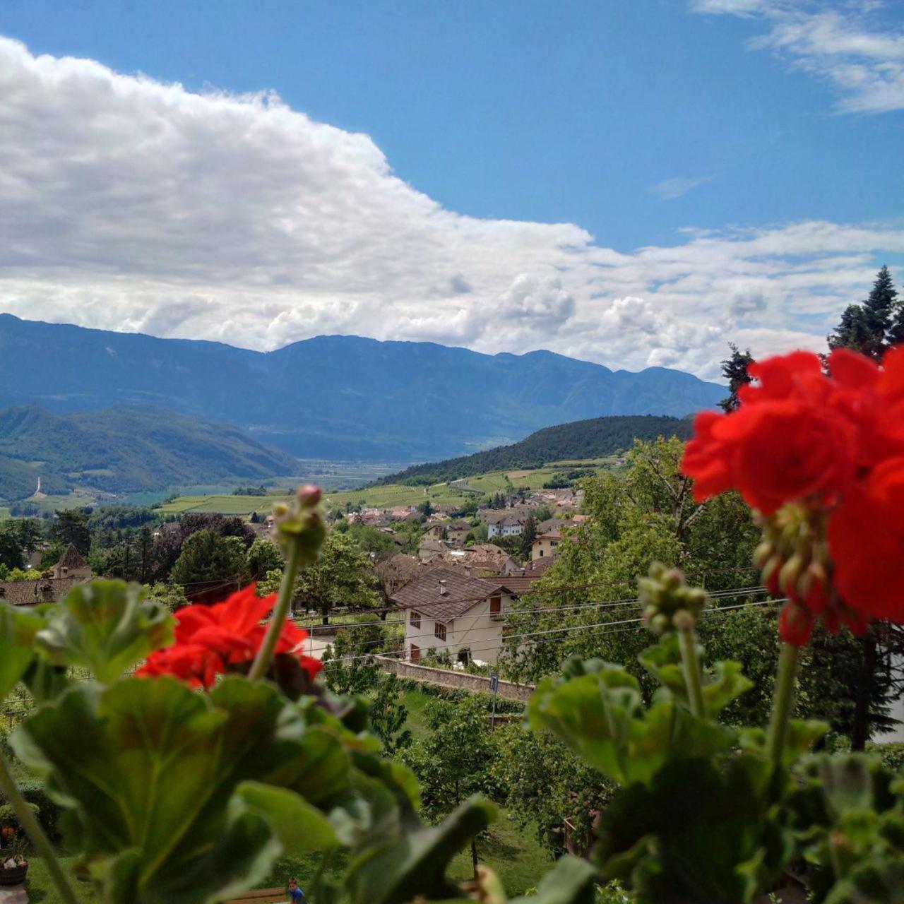 Strengen Guesthouse Caldaro Εξωτερικό φωτογραφία